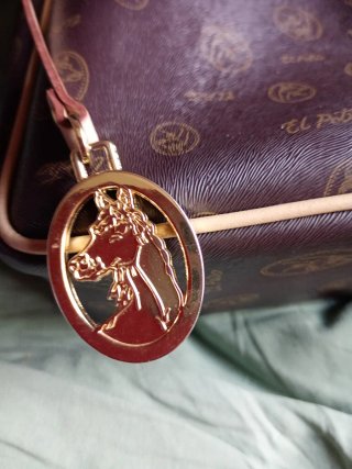 Bolso El potro marrón y verde
