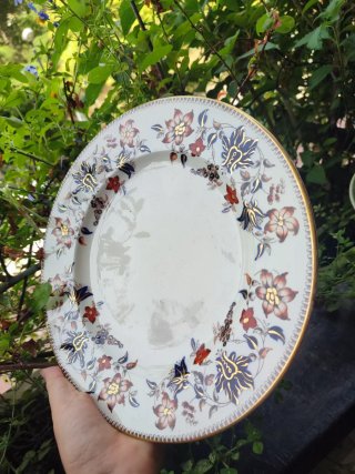 Flora mintons 1870