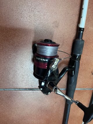 Caña Shimano Vengeance 2.70m + Carrete Siena 4000