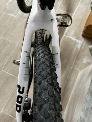 Bicicleta Montaña Focus Raven
