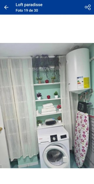 Alquiler vacacional loft Paradise