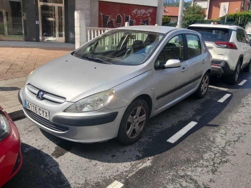 Peugeot 307 2004 - foto 1