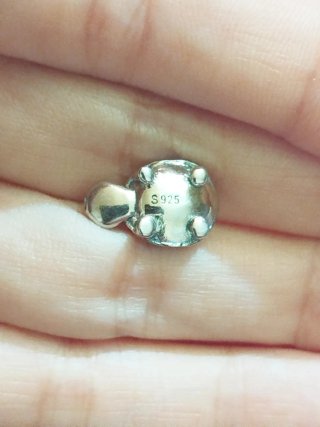 Charm Plata Tortuga