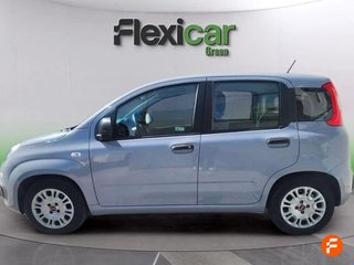 Fiat Panda Panda Hybrid 1.0 Gse 51kw (70CV)