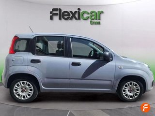 Fiat Panda Panda Hybrid 1.0 Gse 51kw (70CV)