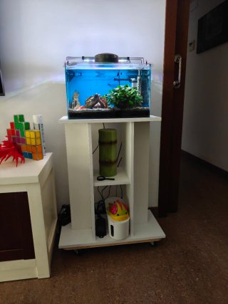 Acuario Betta 24L con mueble