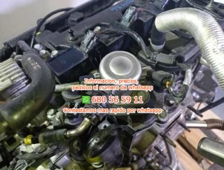 Motor kia g4lk xceed 1.5 t-gdi mhev re Ref:3854598