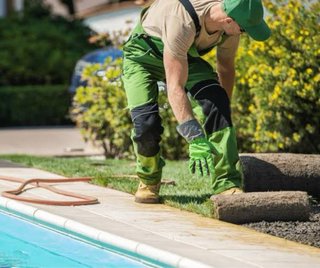 Mantenimiento básico de jardines o piscinas