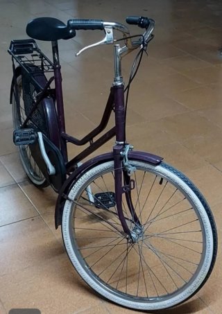 Bicicleta Antigua BIKE PROJECT 26