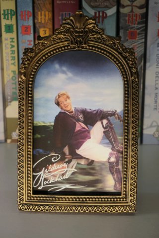 Cornice Harry Potter Gilderoy Lockhart