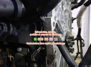 Renault rectp5662787 motor completo h4 Ref:8004708