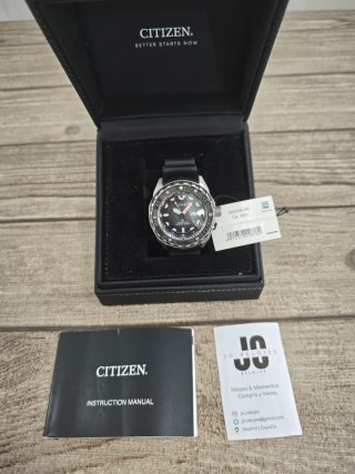 Citizen Promaster Marine NB6004-08E Titanium