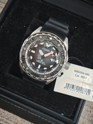 Citizen Promaster Marine NB6004-08E Titanium