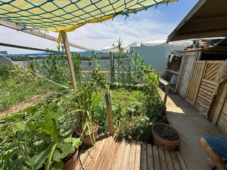 Traspaso huerto 200m²