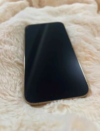 iPhone 13 Pro Max 256GB Oro