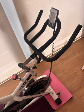 Bicicleta Spinning BH SB2.2