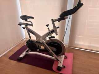 Bicicleta Spinning BH SB2.2