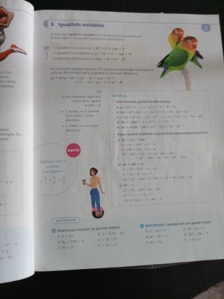 Matemàtiques, 4 ESO, Projecte Construint mons