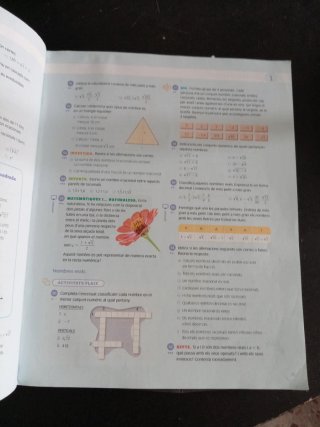 Matemàtiques, 4 ESO, Projecte Construint mons