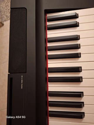 Piano Digitale Yamaha P-121