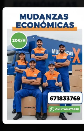 Mudanzas Profesionales Económicas