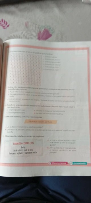 Lengua castellana y literatura