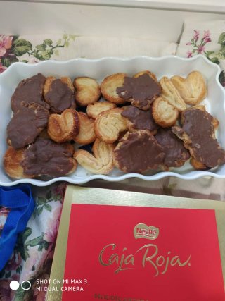 Horno de leña para hacer pan o pizzas