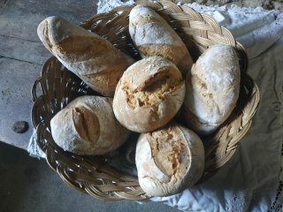 Horno de leña para hacer pan o pizzas