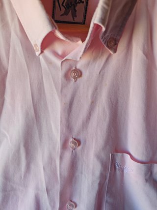 Pack 5 camisas de manga corta hombre talla L/XL