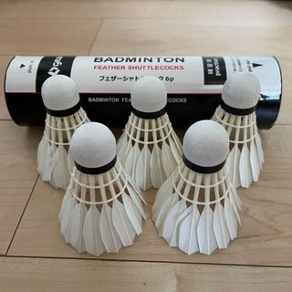 Juego Bádminton: Raquetas, Volantes y Funda
