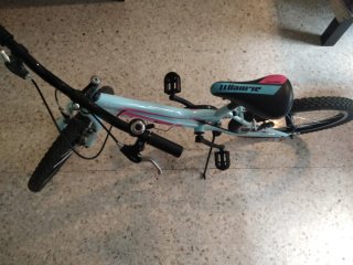 Bicicleta Infantil JL Wenti 20 Celeste