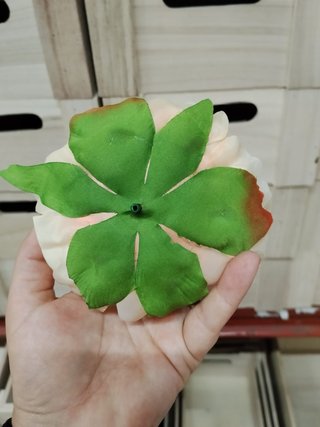Lote Peonias Crema