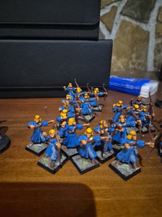 Lote 22 Miniaturas Warhammer Altos Elfos
