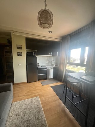 Alquiler de apartamento de 1 dormitorio amueblado