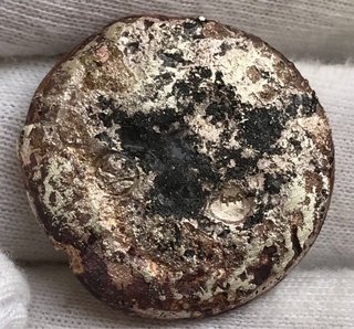 Onza Plata Pura 999 + Regalo