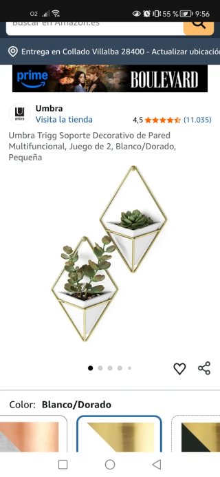 Maceteros de pared blanco