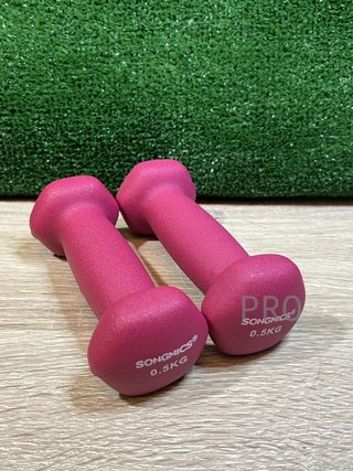 Set di 2 Manubri 0,5KG SONGMICS