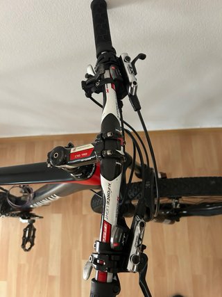 Bicicleta Savannah Carbono