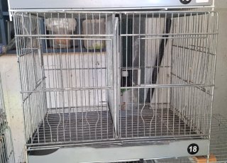Jaulas RSL Cria 40cm