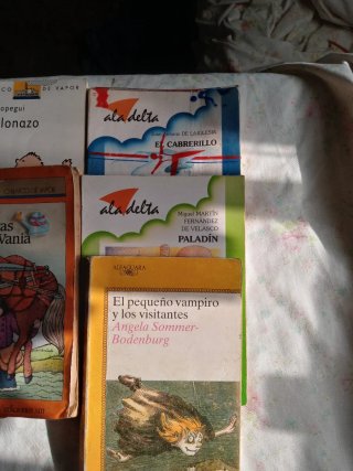 Lote de libros niños