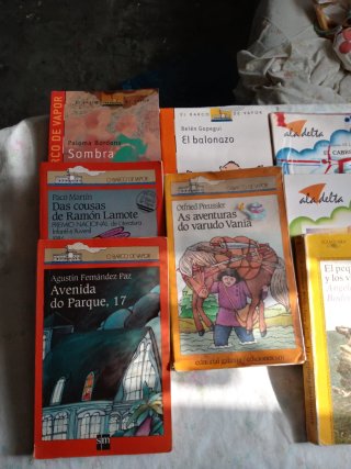 Lote de libros niños