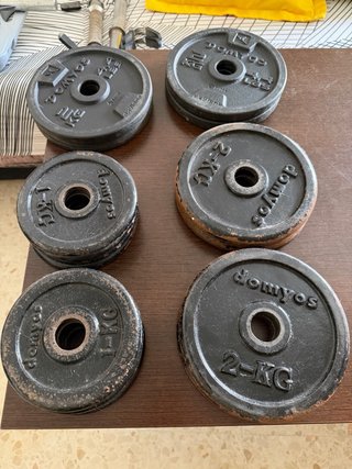 Barra Curl Biceps + Discos Pesas Gimnasio