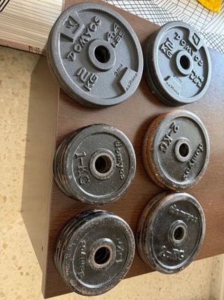Barra Curl Biceps + Discos Pesas Gimnasio