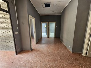 Local comercial en alquiler en Ciutat de les Arts i les Ciències en Valencia