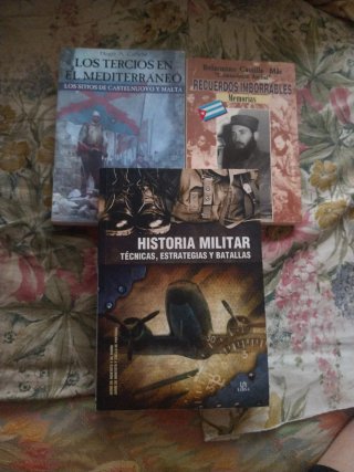 Historia militar técnicas, estrategias y batallas