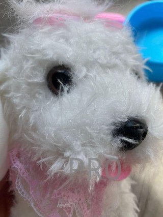 Giocattoli per Cani da Compagnia per Ragazze