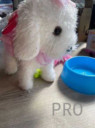 Giocattoli per Cani da Compagnia per Ragazze