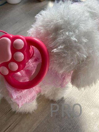 Giocattoli per Cani da Compagnia per Ragazze