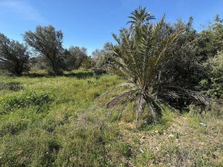 Chalet en venta en El Altet en Elche