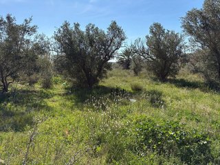 Chalet en venta en El Altet en Elche